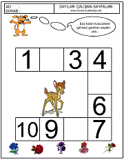 sayılar örüntü çalışmaları